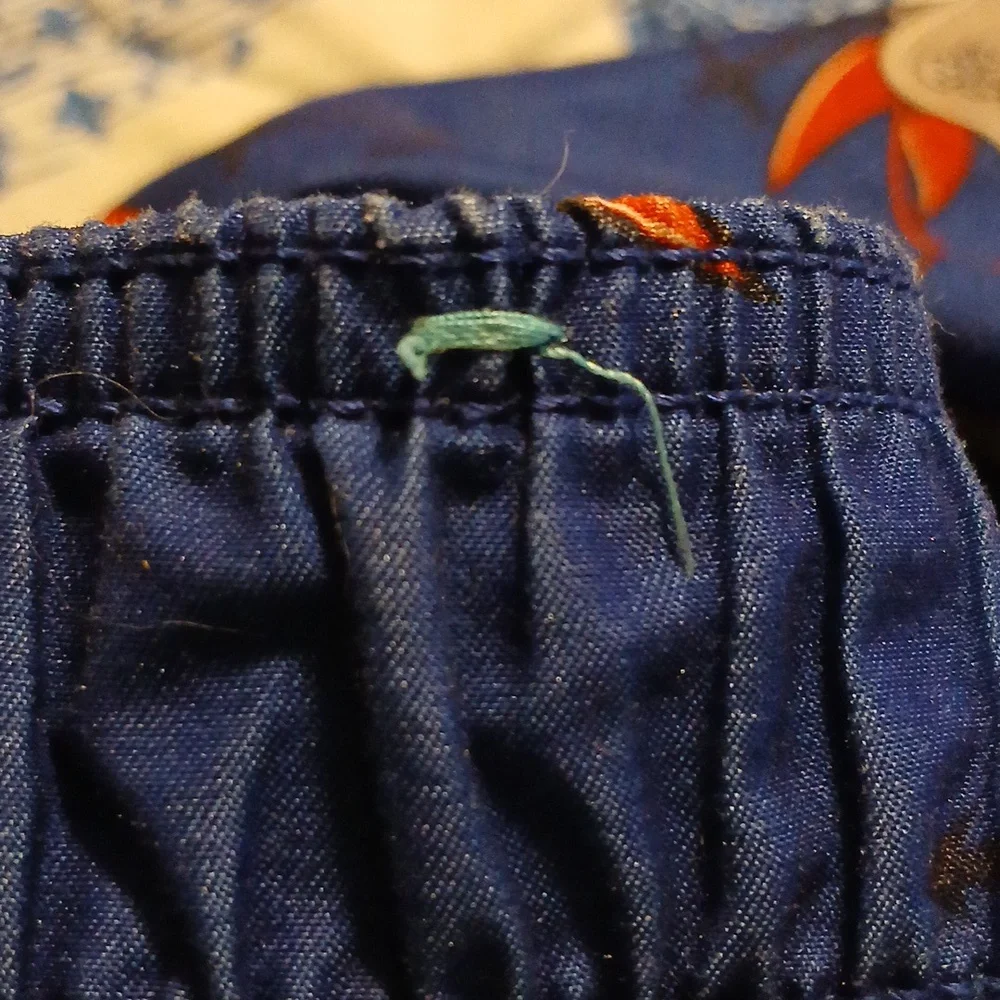 The Children's Place Pirate Lobster Boys Swim Trunks S